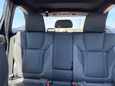 2024 Subaru Forester Wilderness