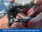 2013 Hyundai Veloster Base w/Red
