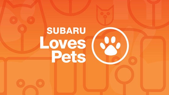 Wyatt Johnson Subaru in Clarksville TN