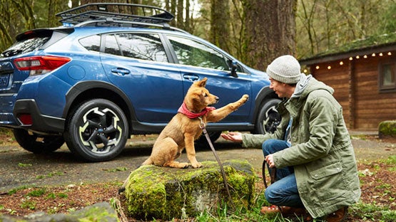 Wyatt Johnson Subaru in Clarksville TN